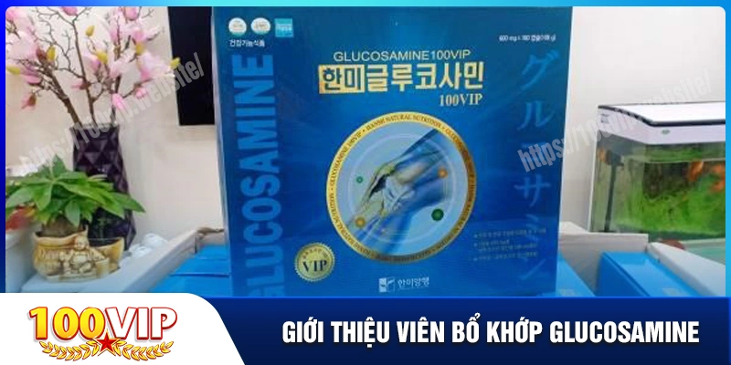 Giới thiệu tổng quan về glucosamine 100 vip hanmi